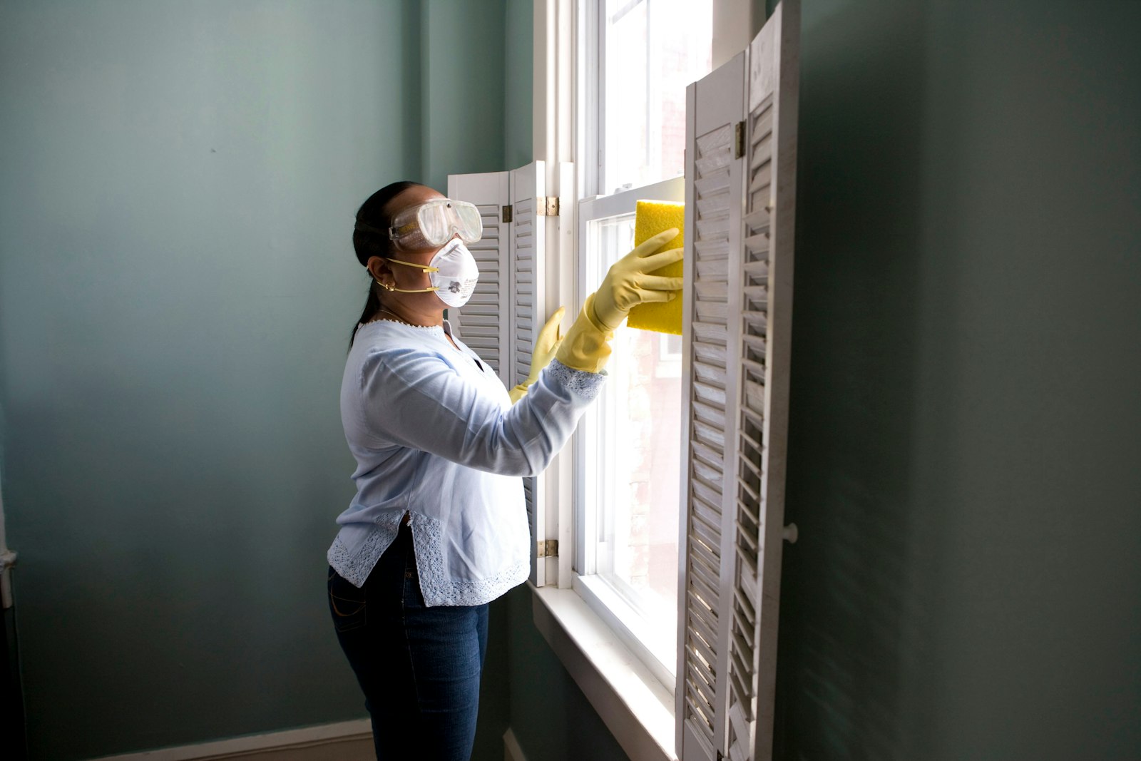Professional mold removal and remediation